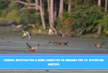 Federal investigation is being conducted on Unnamed Pike Co. Waterfowl Hunters.