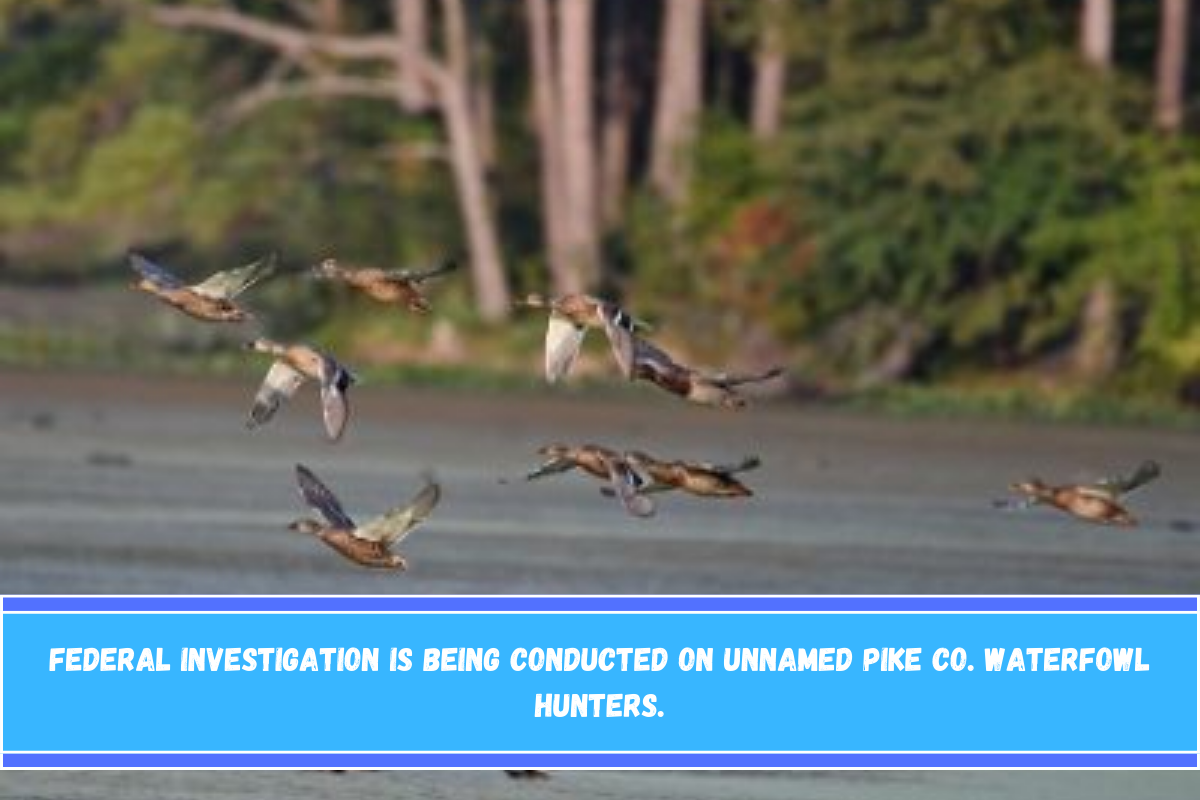 Federal investigation is being conducted on Unnamed Pike Co. Waterfowl Hunters.