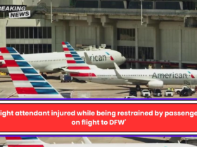 'Flight attendant injured while being restrained by passengers on flight to DFW'