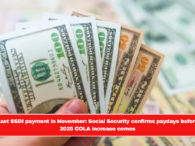 Last SSDI payment in November: Social Security confirms paydays before 2025 COLA increase comes