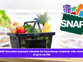 SNAP December payment schedule for Food Stamp recipients with checks of up to $1,756