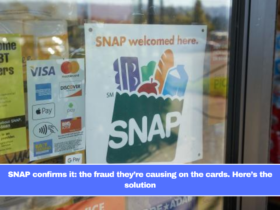 SNAP confirms it: the fraud they’re causing on the cards. Here’s the solution