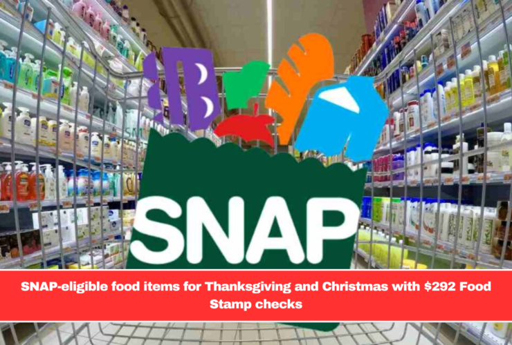 SNAP-eligible food items for Thanksgiving and Christmas with $292 Food Stamp checks