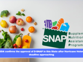 USDA confirms the approval of D-SNAP in this State after Hurricane Helene, deadline approaching