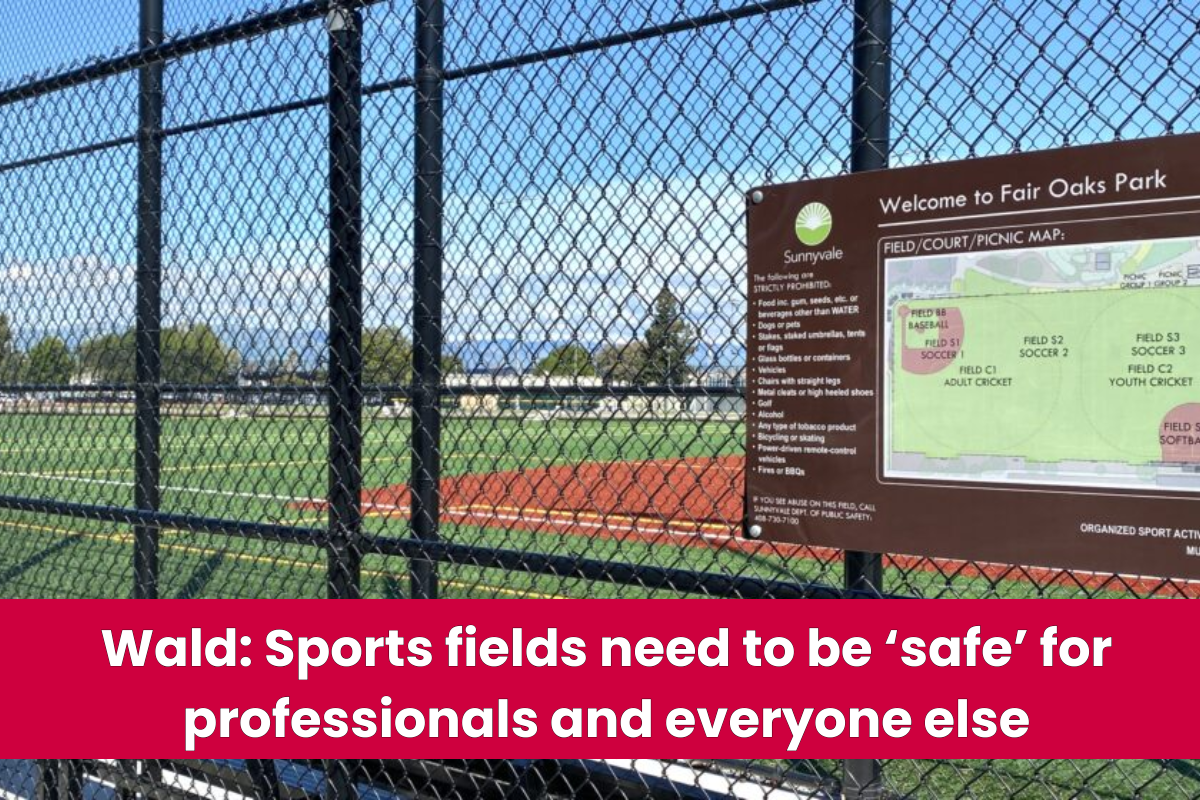 Wald Sports fields need to be ‘safe’ for professionals and everyone else